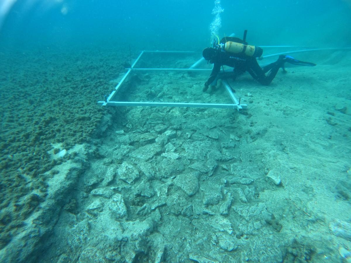 A prehistoric road was found at the bottom of the Mediterranean Sea (photo)