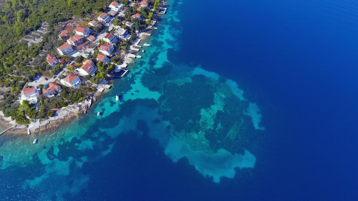 A prehistoric road was found at the bottom of the Mediterranean Sea (photo)