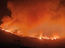 На Тенерифі спалахує пожежа, туристів та місцевих жителів евакуюють