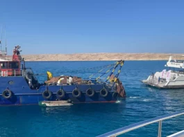У Єгипті створили перший підводний парк зі штучними рифами