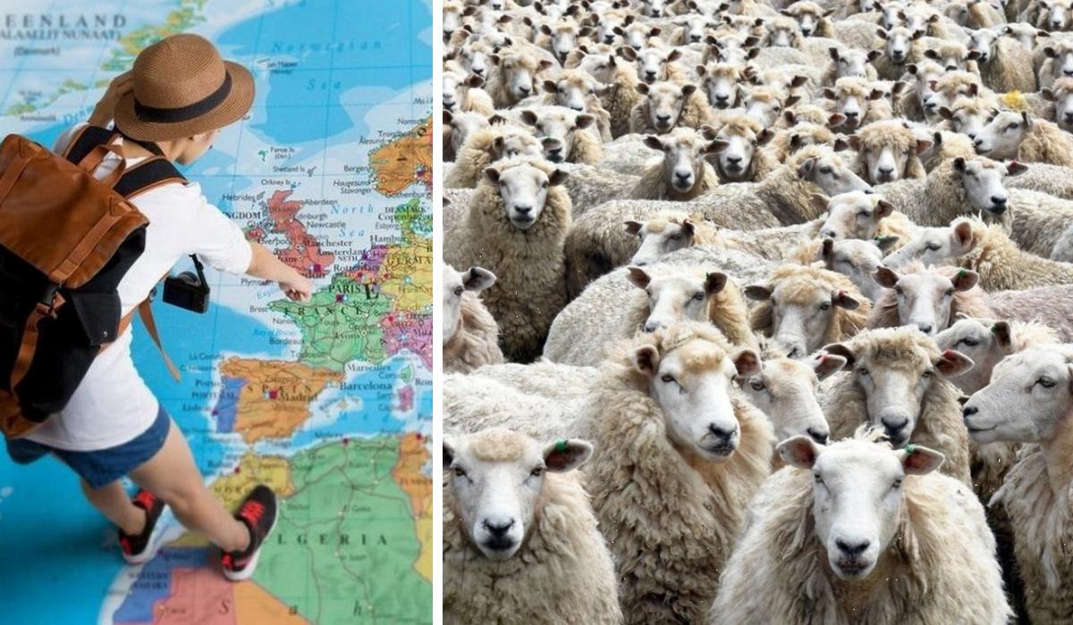 Ми відчували себе худобою: турист повідомив про відвідування популярних місць Європи