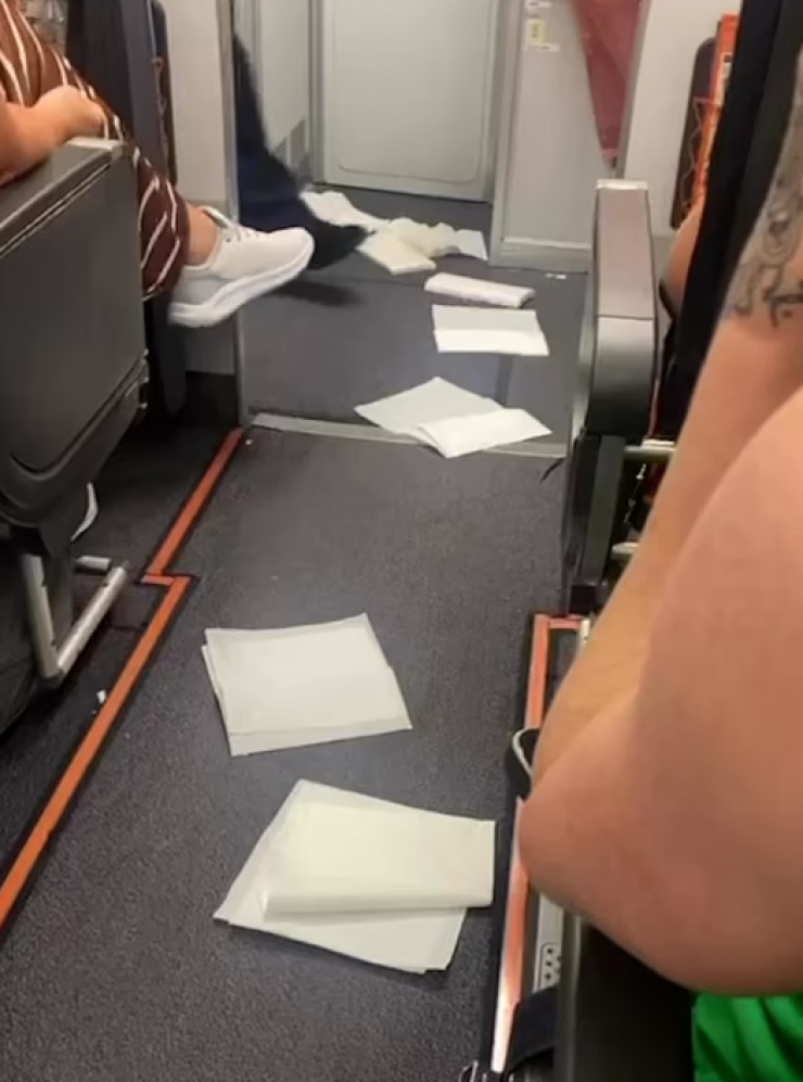 An unexpected act of a plane passenger disrupted the flight: video
