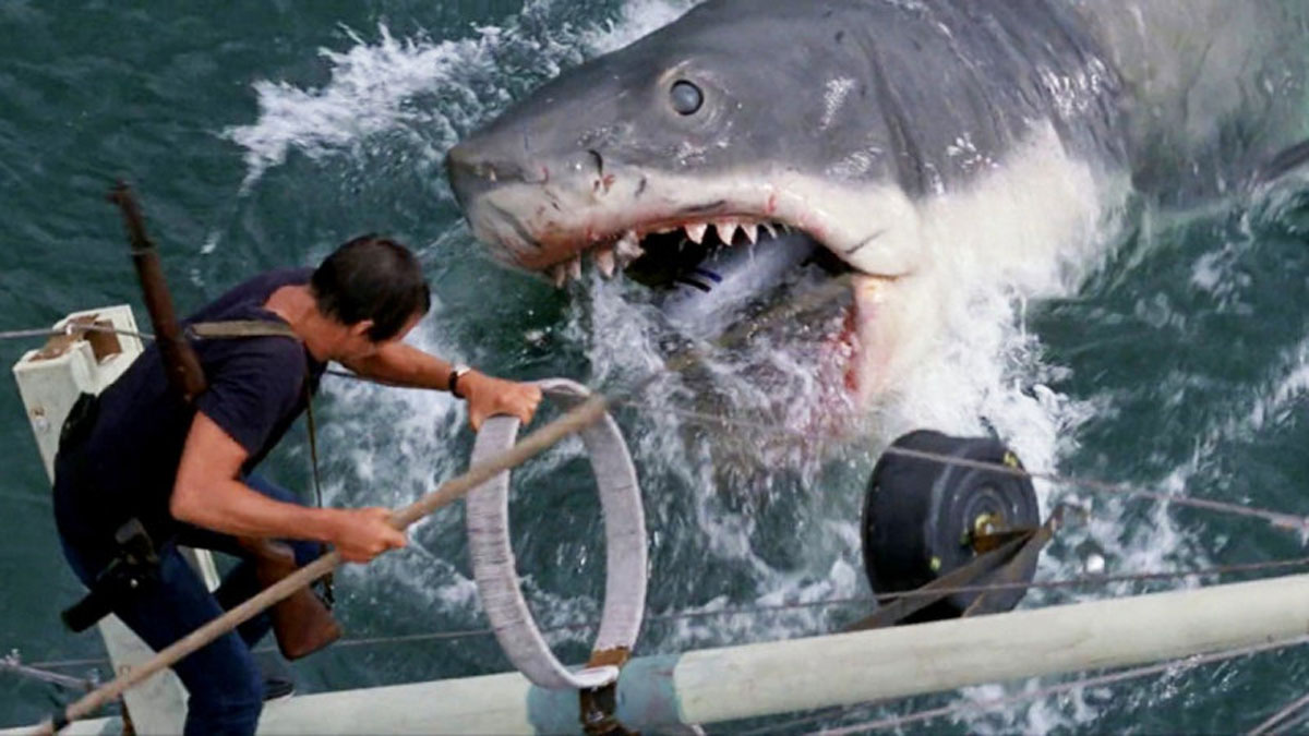 Акула-людожер напала на чоловіків на місці зйомок фільму 