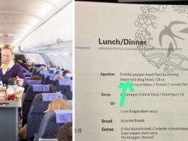 Пасажирів у літаках China Eastern почали годувати імпортним кормом для собак