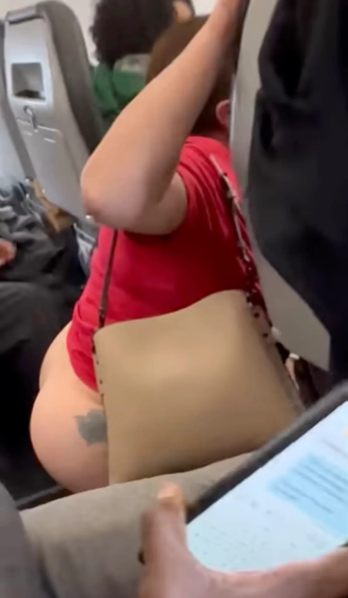 In the USA, a tourist pulled down her pants and publicly relieved herself in the aisle of the plane
