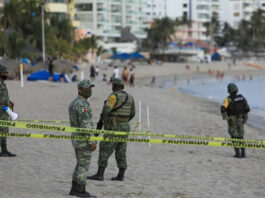 Великий хижак убив туриста на пляжі в Мексиці. Фахівці гадають, хто це був