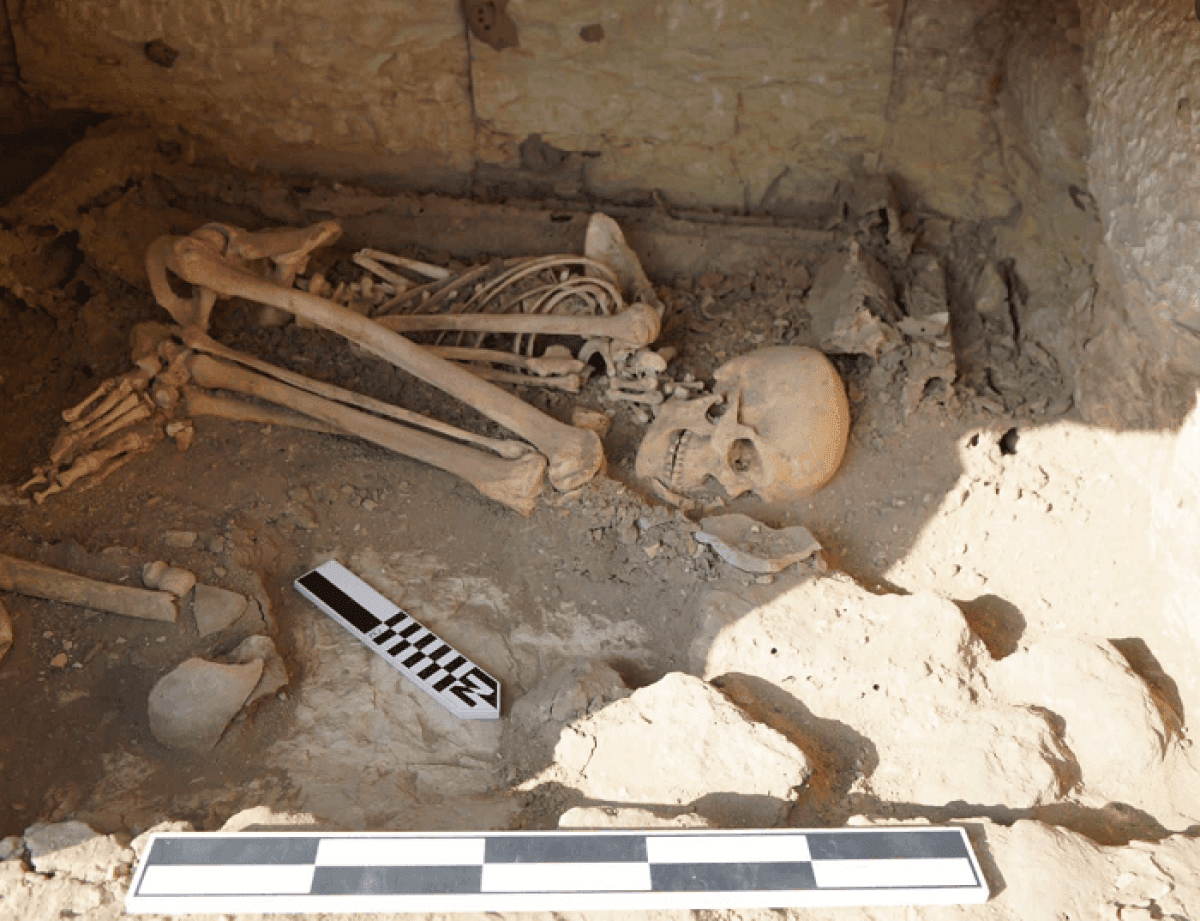 У Єгипті знайшли 4500-річну гробницю з артефактами та скелетом дитини