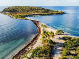 Співзасновник Google таємно купив острів у Пуерто-Рико за 32 мільйони доларів