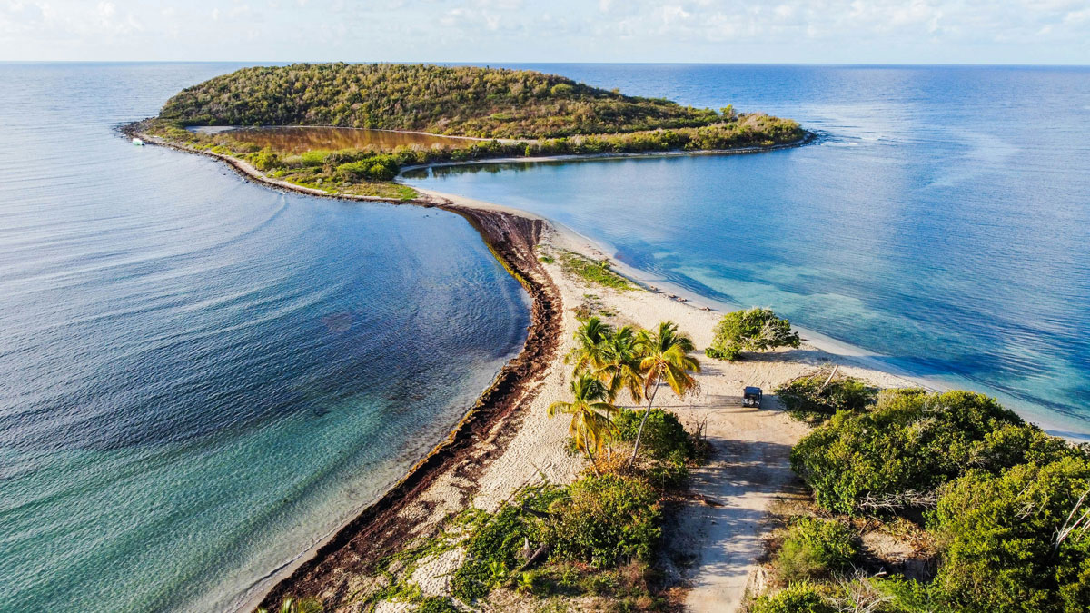 Співзасновник Google таємно купив острів у Пуерто-Рико за 32 мільйони доларів