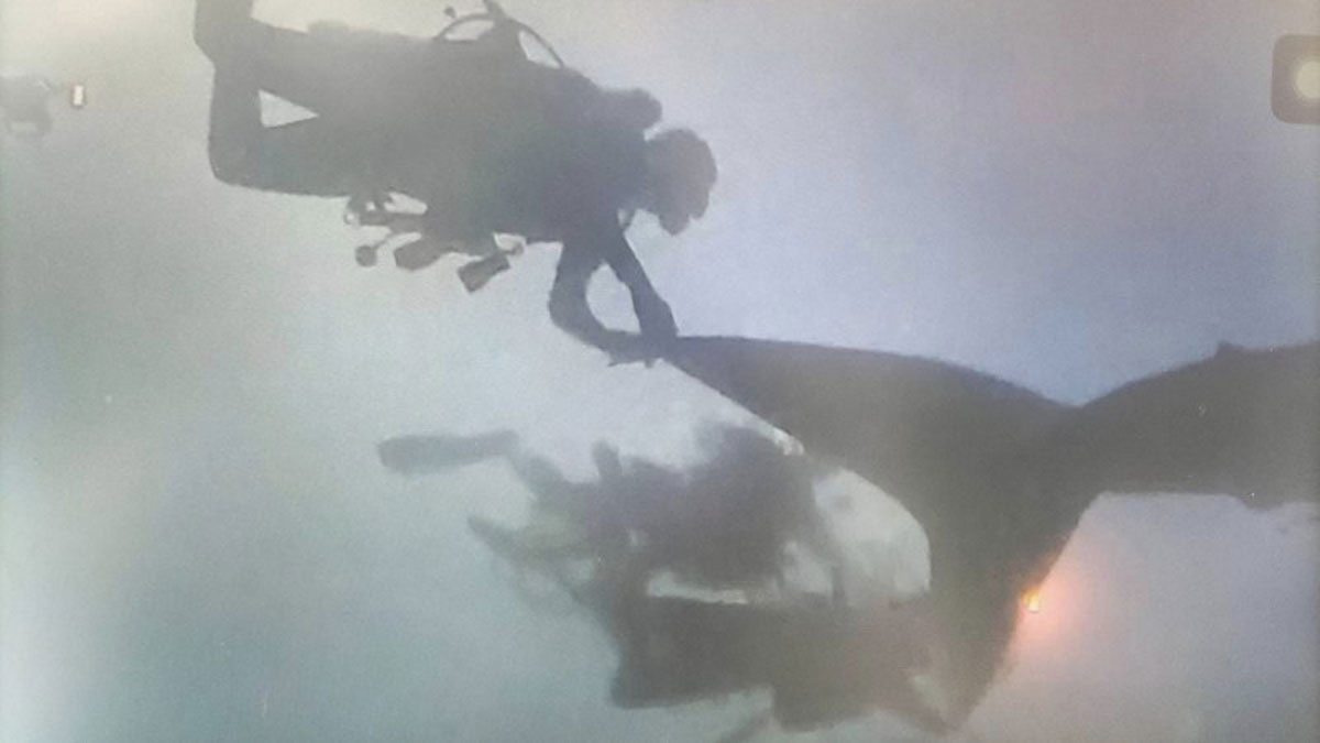 Туриста оштрафували на велику суму за дотик до акули в Таїланді