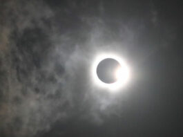 Ілон Маск, космонавти та інші очевидці показали кадри повного сонячного затемнення