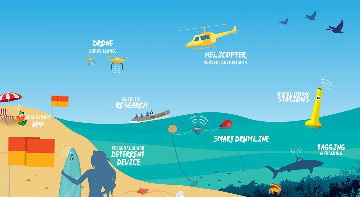 Дрони та додаток Shark Smart допомагають Австралії боротися з нападами акул