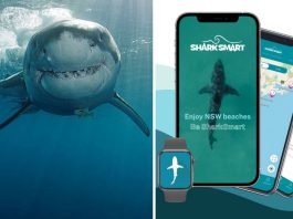 Дрони та додаток Shark Smart: як Австралія захищається від акул новими технологіями