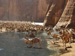 Аль-Кулаан — нова перлина екотуризму Єгипту: місце, де пустеля зустрічається з Червоним морем