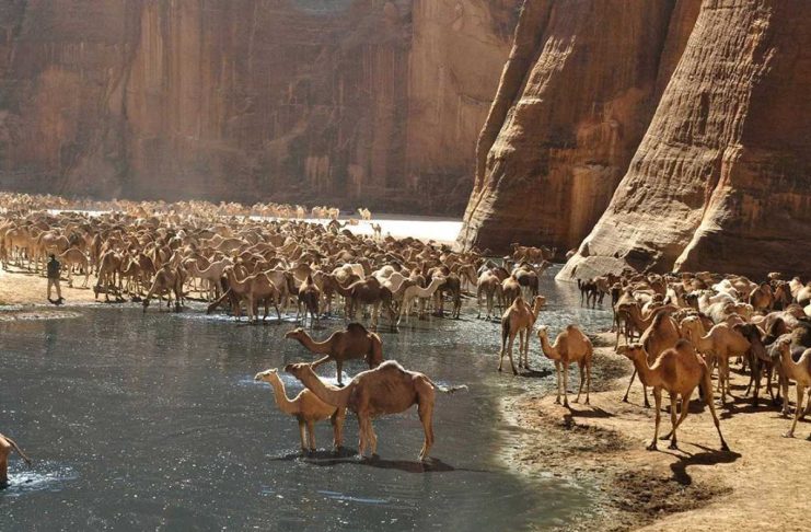 Аль-Кулаан — нова перлина екотуризму Єгипту: місце, де пустеля зустрічається з Червоним морем