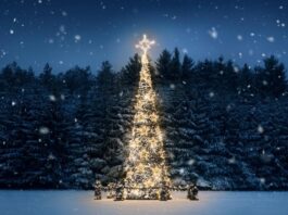 Гігантська різдвяна ялинка вразила світ: 45 метрів і 140 тисяч вогнів