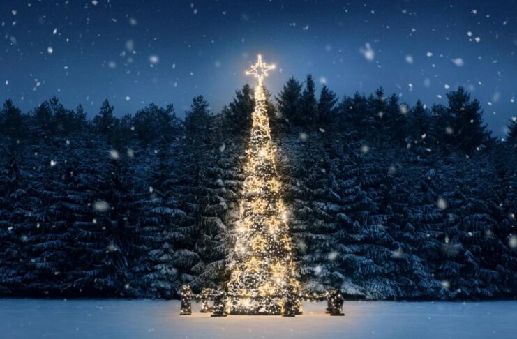Гігантська різдвяна ялинка вразила світ: 45 метрів і 140 тисяч вогнів