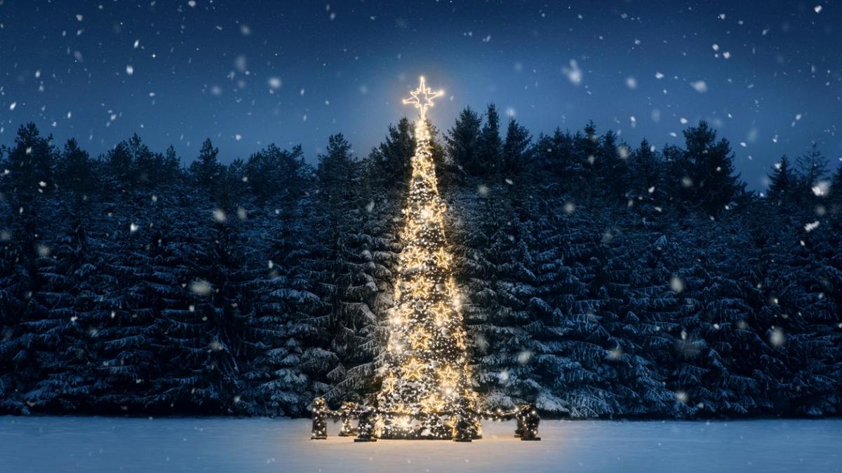 Гігантська різдвяна ялинка вразила світ: 45 метрів і 140 тисяч вогнів