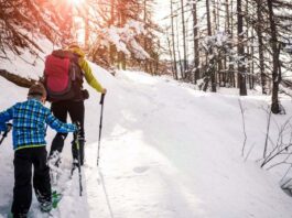 У Туреччині випав потужний сніг: один із найпопулярніших гірськолижних курортів відкриє сезон раніше