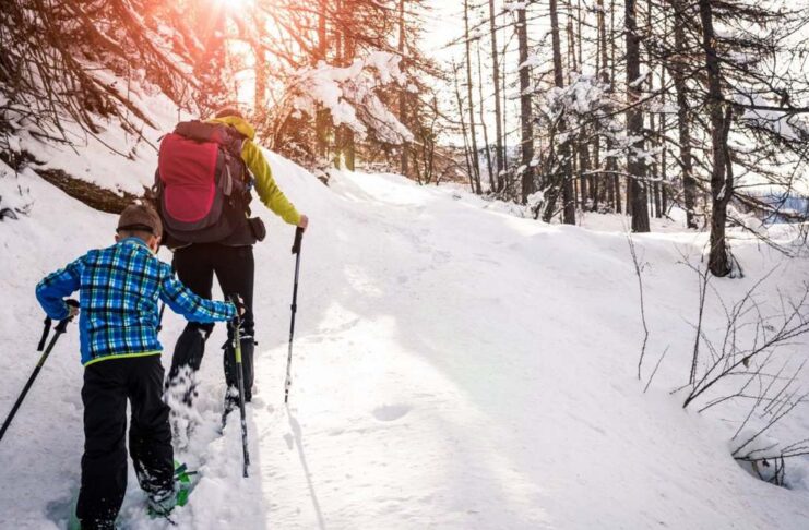 У Туреччині випав потужний сніг: один із найпопулярніших гірськолижних курортів відкриє сезон раніше