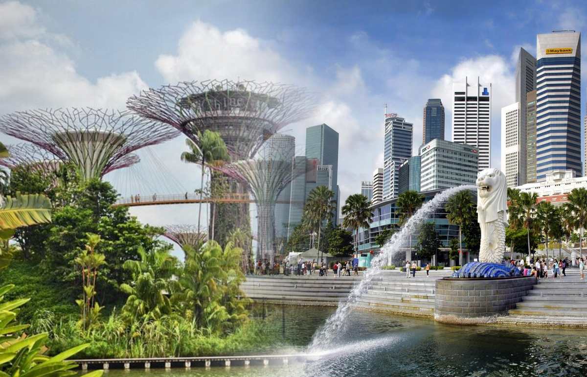 Бізнес-візи до Сінгапуру 2025: які існують, кому підходять і як подати заявку