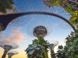 Сінгапур вводить перший у світі «зелений» податок на авіапальне: скільки заплатять європейські мандрівники