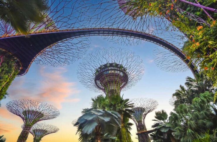 Сінгапур вводить перший у світі «зелений» податок на авіапальне: скільки заплатять європейські мандрівники