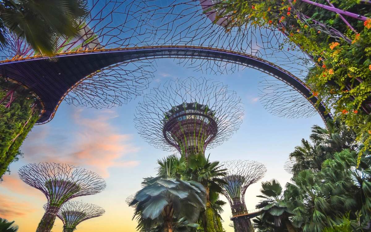 Сінгапур вводить перший у світі «зелений» податок на авіапальне: скільки заплатять європейські мандрівники