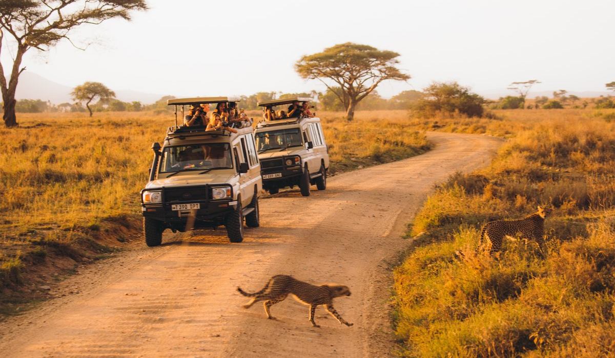 Небезпечне сафарі: смертельні випадки серед туристів зростають